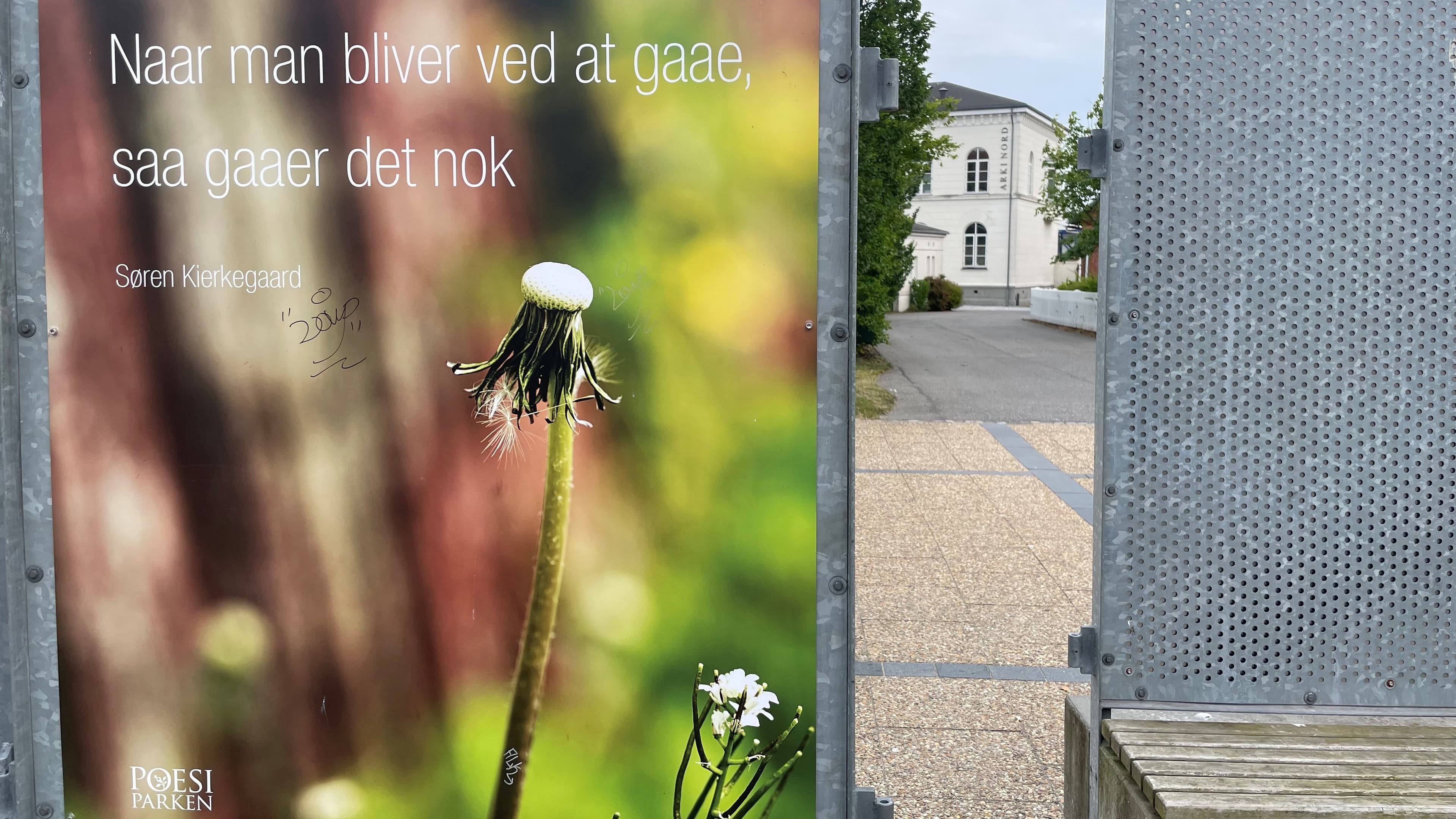 Mælkebøtten - Löwenzahn